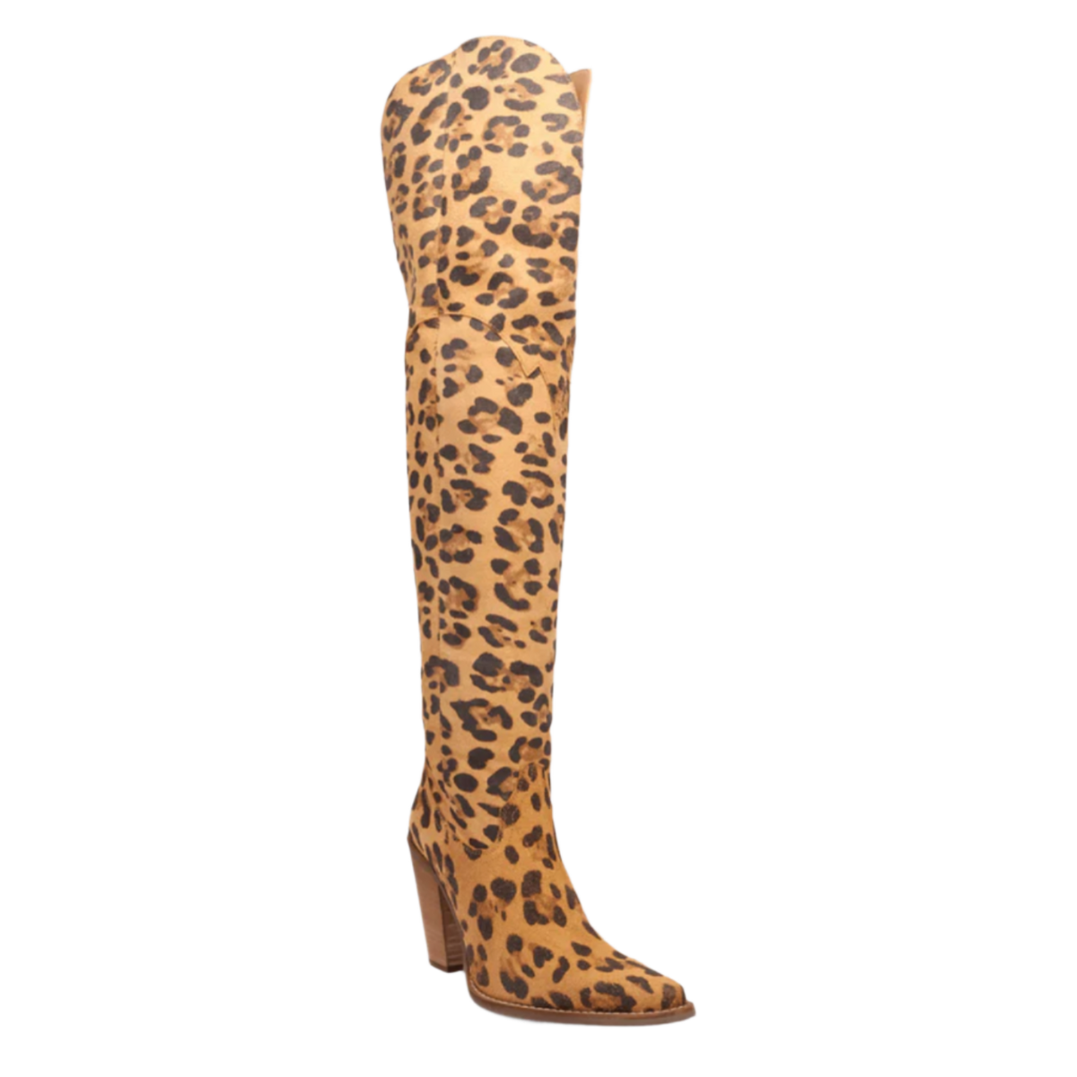 Diva Leather Boot