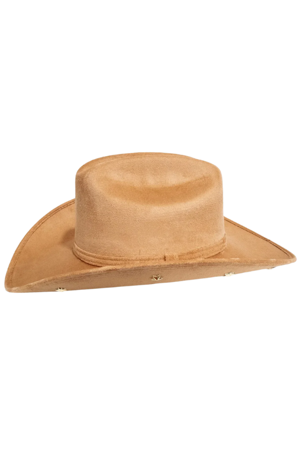 Cosmic Cowboy in Canyon
