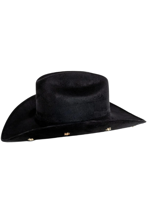 Black cowboy hat with celestial star accents under the brim
